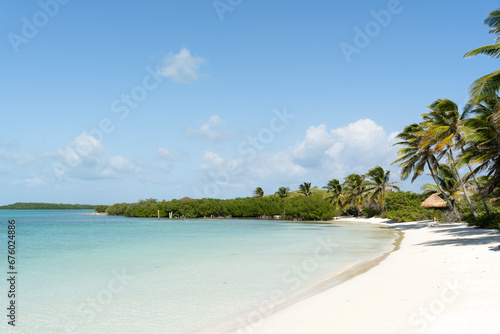 Fototapeta Naklejka Na Ścianę i Meble -  Beautiful landscape of Contoy Island in Mexico at the seashore with transparent water and surrounded by palm trees and vegetation.