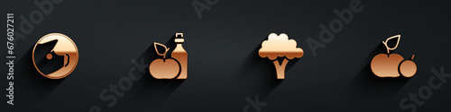 Set Pig, Apple cider vinegar in bottle, Broccoli and icon with long shadow. Vector