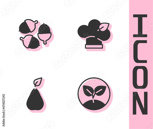 Set Sprout, Acorn, Pear and Vegan food diet icon. Vector
