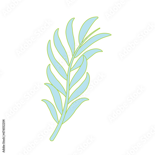 Isolated branch of leaves icon Vector