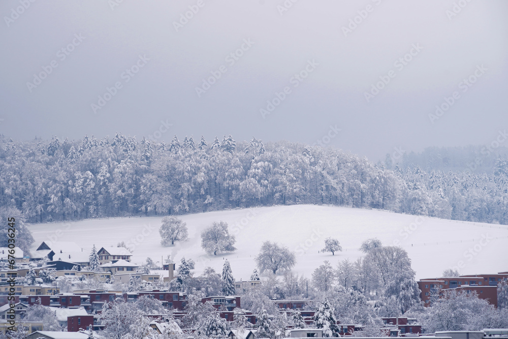 Snow-covered roofs in the winter season in a Swiss village Urdorf  in Kanton Zurich. In background is field and forest with coniferous trees and overcast sky.