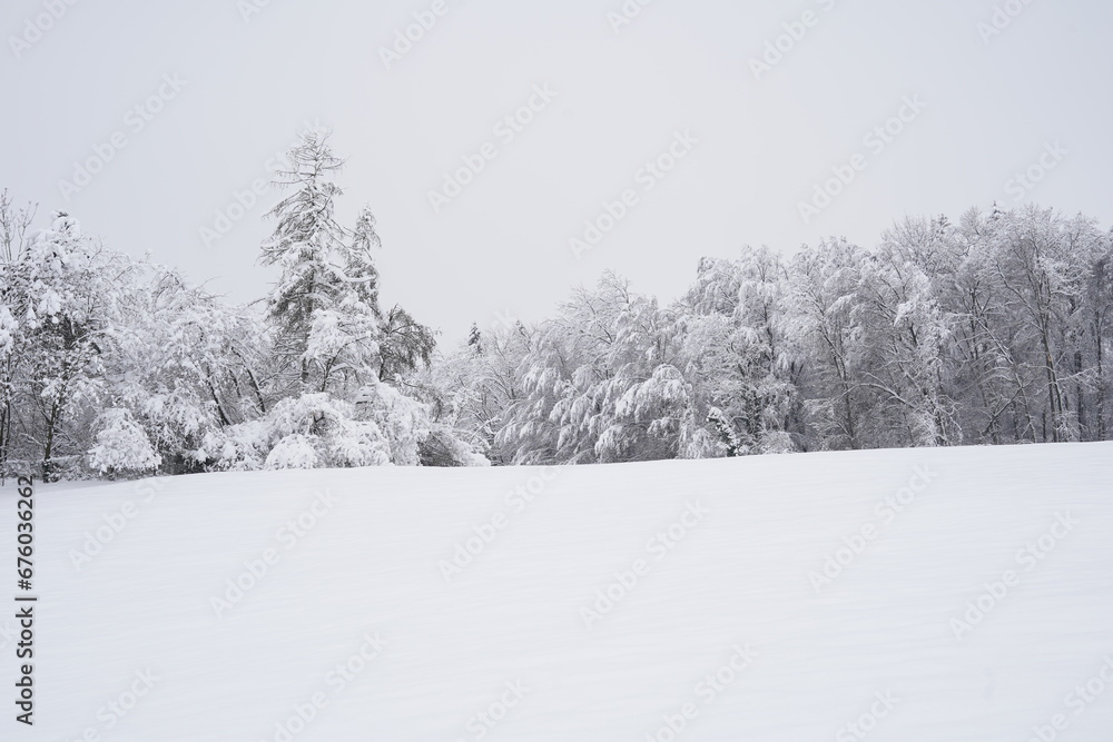 Field and forest with snow-covered trees in the winter season in a Swiss village near the Alps. In background is overcast sky. Field and forest with snow-covered trees in the winter season in a Swiss village near the Alps. In background is overcast sky.