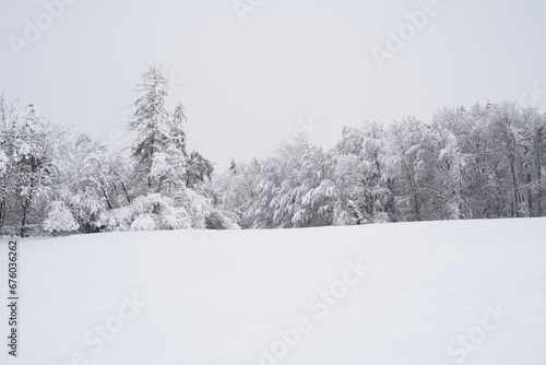 Field and forest with snow-covered trees in the winter season in a Swiss village near the Alps. In background is overcast sky.
