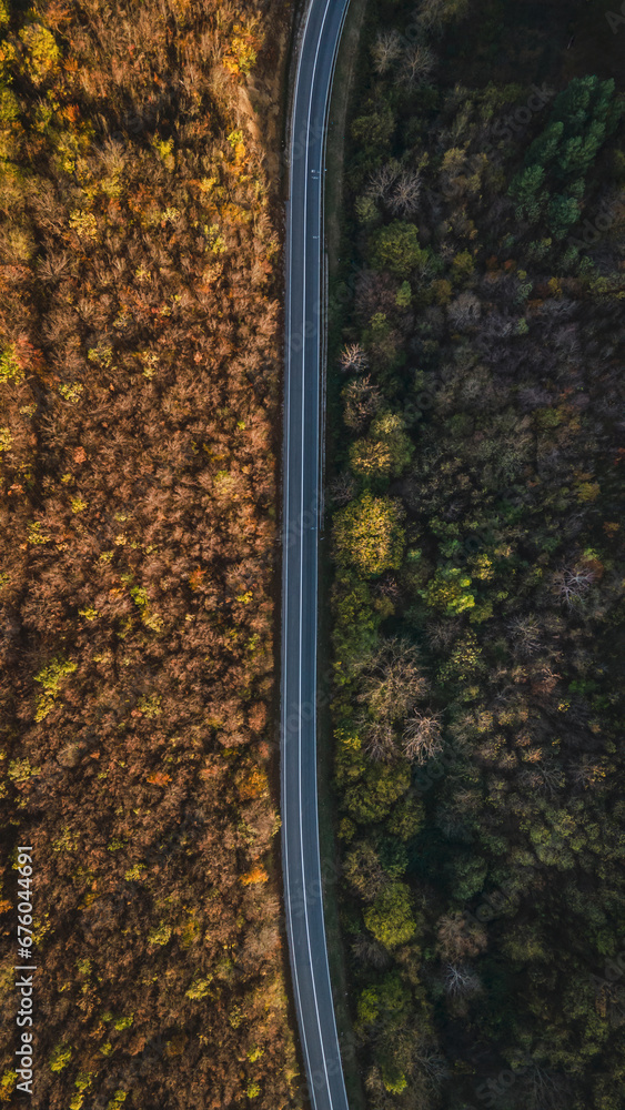 Top down aerial view drone image on the road trough the trees and forest in mountain range Tresibaba in autumn day in Serbia Travel journey and vacation concept