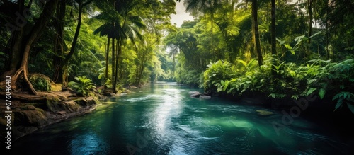 I love to travel and explore new places especially those with beautiful water backgrounds that provide a stunning view of nature s landscapes lush green gardens tropical plants and vibrant 