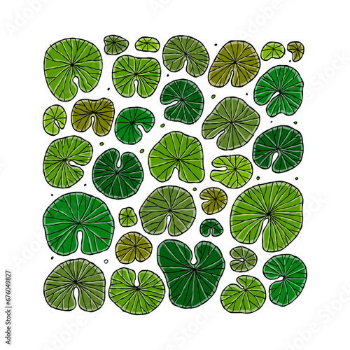 Pond square frame with lily pads leaf, top view for your design