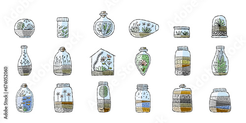 Florarium in bottle set with cactuses, succulents, leaves, branches, stones a...