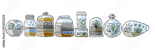 Florarium in bottle set with cactuses, succulents, leaves, branches, stones a...