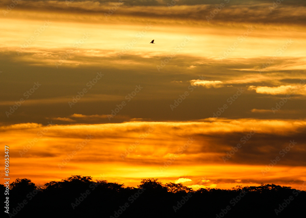 Beautiful sunset, with a fliyng bird on background. Três Lagoas, Mato Grosso do Sul, Brazil Beautiful sunset, with a fliyng bird on background. Três Lagoas, Mato Grosso do Sul, Brazil