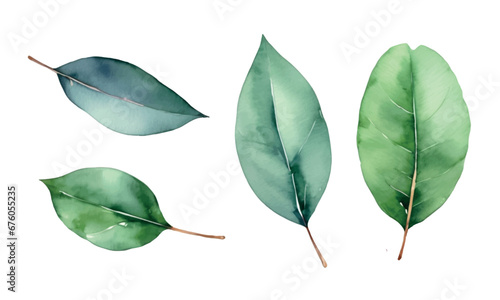 green leaves isolated on a transparent background set