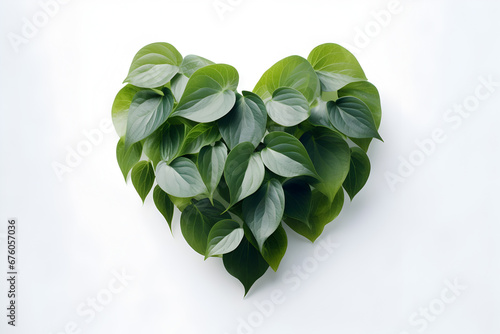 Symbol of Love: Heart-Shaped Plants Against a White Background for Valentine's Day