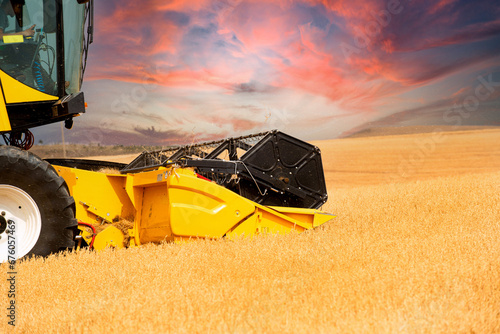 The wheat that comes at harvest time is collected with a combine harvester.
