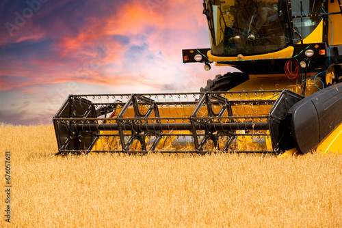 The wheat that comes at harvest time is collected with a combine harvester.