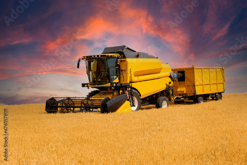 The wheat that comes at harvest time is collected with a combine harvester.