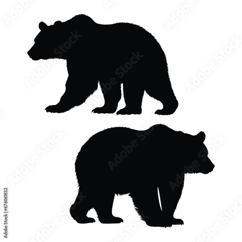 Bear Silhouette on White Background