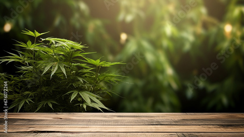 cannabis leaves on wooden background with copy space