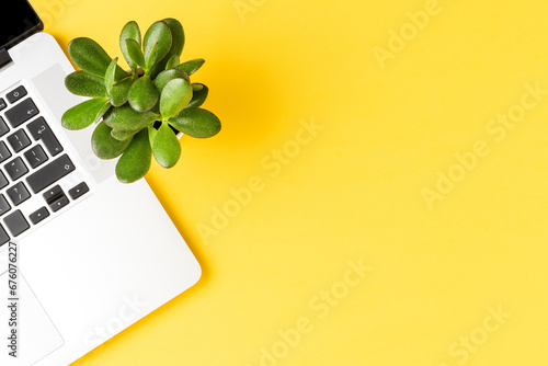 Laptop with small succulent on yellow desktop. Top view
