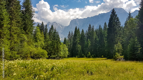 Scenic view of lush green alpine meadow and forest in Tarvisio  Friuli-Venezia Giulia  Italy  Europe. View of Mount Mangart and massive peaks of Julian mountain range. Seen from lake Laghi di Fusine