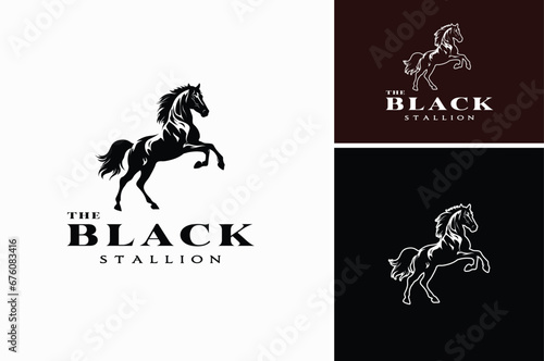 Black Rearing Hind Legs Wild Horse Equine Stallion Silhouette for Animal Wildlife or Stable Barn Ranch Farm Logo Design