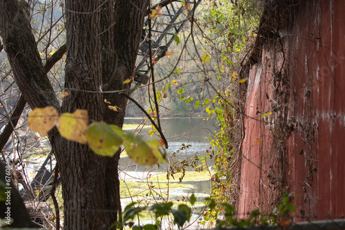 Obscured view of a river photo