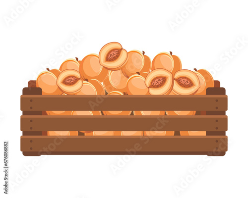 Wooden box with ripe peaches. Healthy food, fruits, agriculture illustration, vector