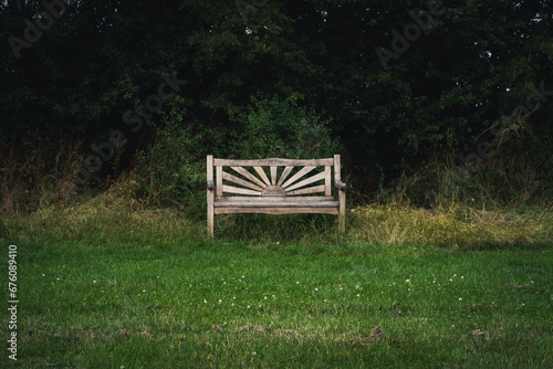bench in the forest