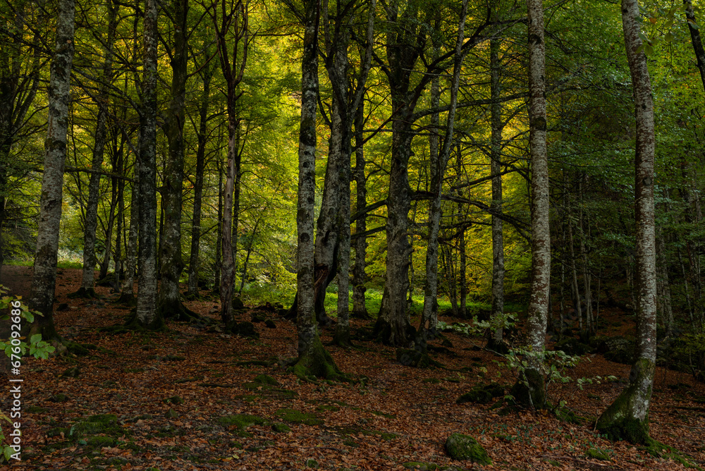 Couleurs d'automne au lac de Bethmale