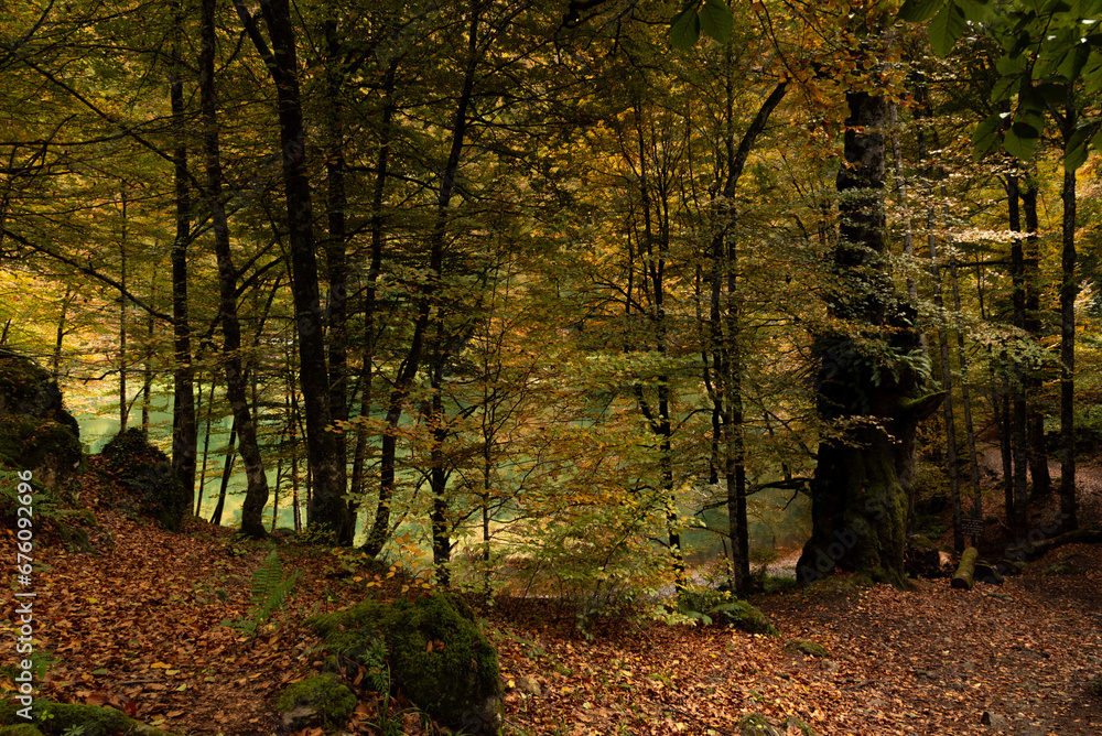 Couleurs d'automne au lac de Bethmale