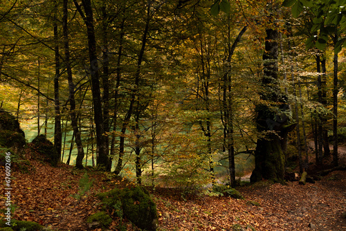 Couleurs d'automne au lac de Bethmale