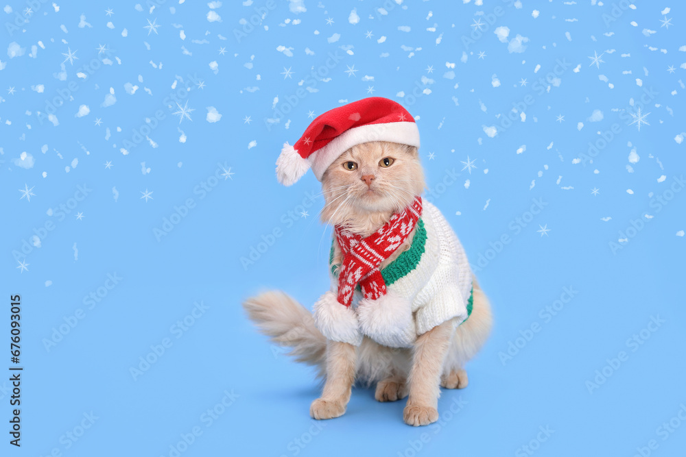 Cat Santa Claus. Close-up portrait of a cute red cat wearing Santa Claus xmas red cap on a blue background. Santa's helper. Merry Christmas. Greeting card Happy New Year. Ginger Cat. Snowflake. Snow Cat Santa Claus. Close-up portrait of a cute red cat wearing Santa Claus xmas red cap on a blue background. Santa's helper. Merry Christmas. Greeting card Happy New Year. Ginger Cat. Snowflake. Snow