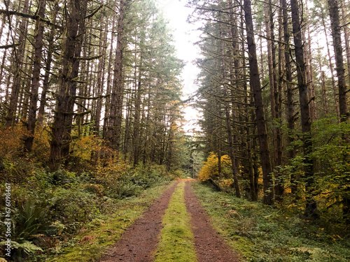 Old Forest Service Road in Oregon