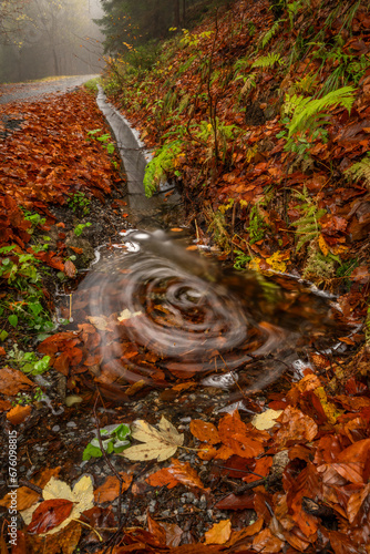 Small creek from hillside near Ponikly waterfall after rain in autumn morning photo