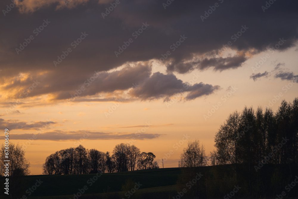 Obraz premium sunset in the forest
