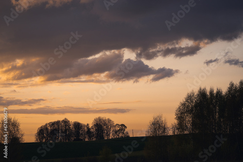 sunset in the forest