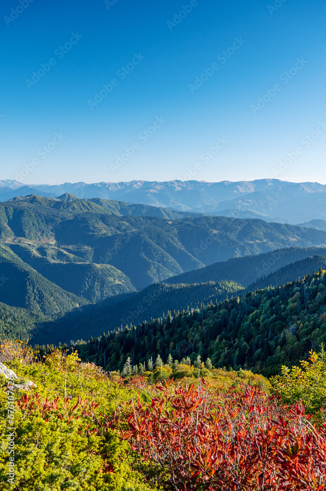 Beautiful mountain landscape with color trees, blue sky and snow  peaks in sunny day. Traveling through the mountains of Georgia. The village of Gomismta.