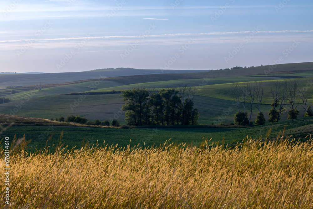 Fototapeta premium Moravian Fields: Where Crops and Green Waves Meet