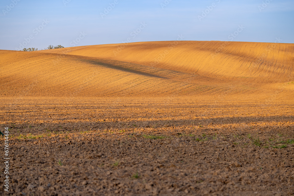 Moravian Fields: A Golden Tapestry Unveiled Moravian Fields: A Golden Tapestry Unveiled