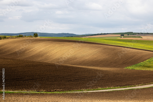 Rolling Fields of Moravia