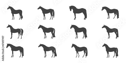Set of silhouettes of horses of riding breeds of various conformation