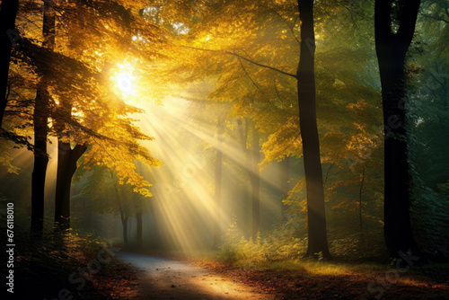 Beautiful autumn landscape with bright sun light and leaves. Sun rise over autumn forest with yellow leaves. Colorful trees in the forest with the rays of sun shining on the leaves
