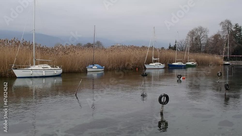 Boats sway in the waters of Lake Ohrid, tied to thick reeds.