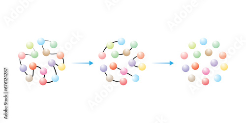 Protein Digestion to Amino Acids. Amino Acids, Peptides and Protein Scientific Design. Vector Illustration. photo