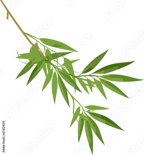 bamboo leaves illustration