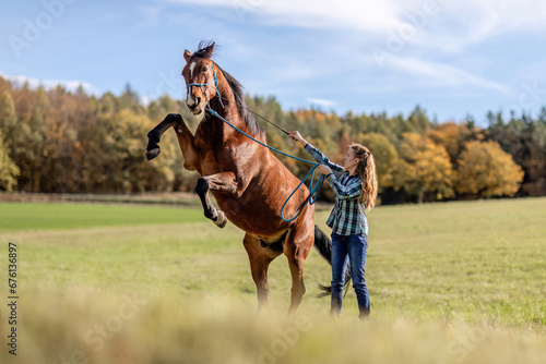 A young female equestrian showing a trick with her bay brown trotter horse, rearing horse, natural horsemanship and horse training concept