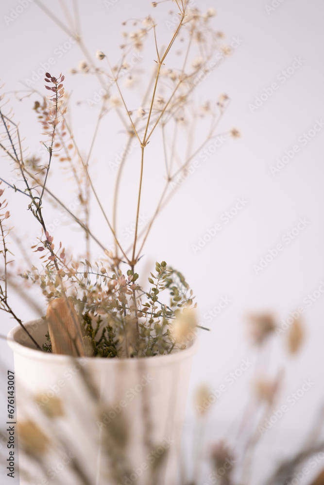 vaso con plantas secas recolectadas para ornamentos con fondo blanco y desenfoque