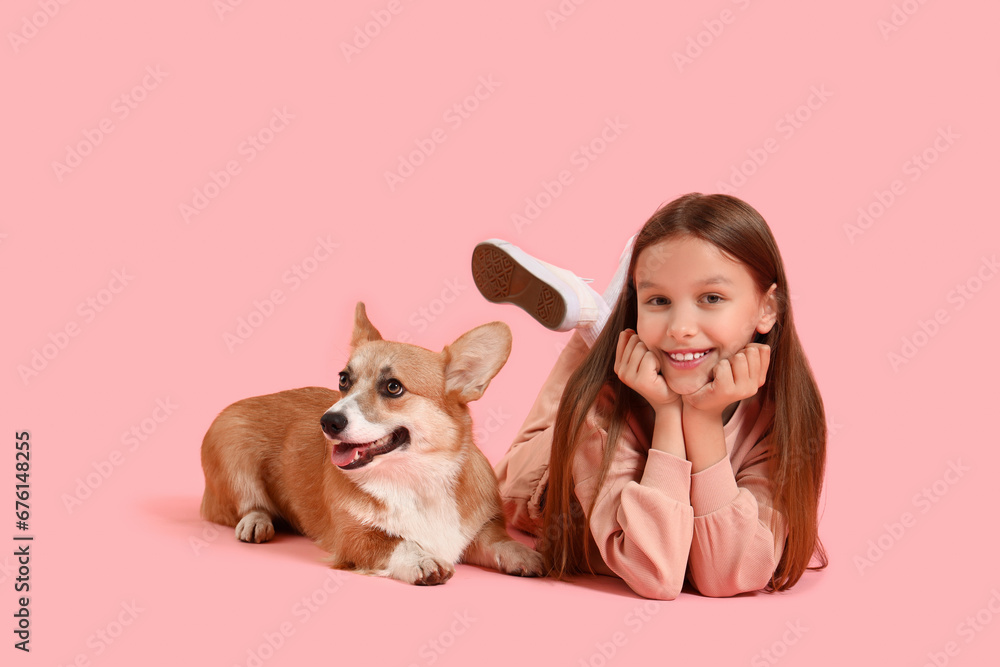 Little girl with cute Corgi dog lying on pink background Little girl with cute Corgi dog lying on pink background