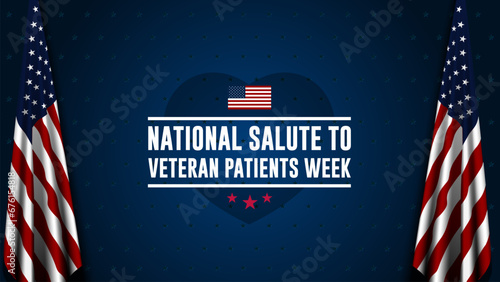 National Salute To Veteran Patients Week Background Vector Illustration
