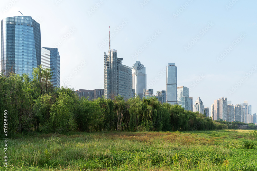 flower field in park at city center and modern city flower field in park at city center and modern city