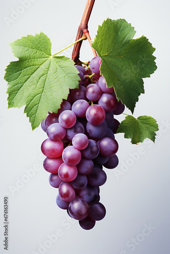 Portrait of grape. Ideal for your designs, banners or advertising graphics.