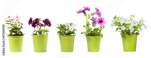 Many flower pots with different plants isolated on white, collection